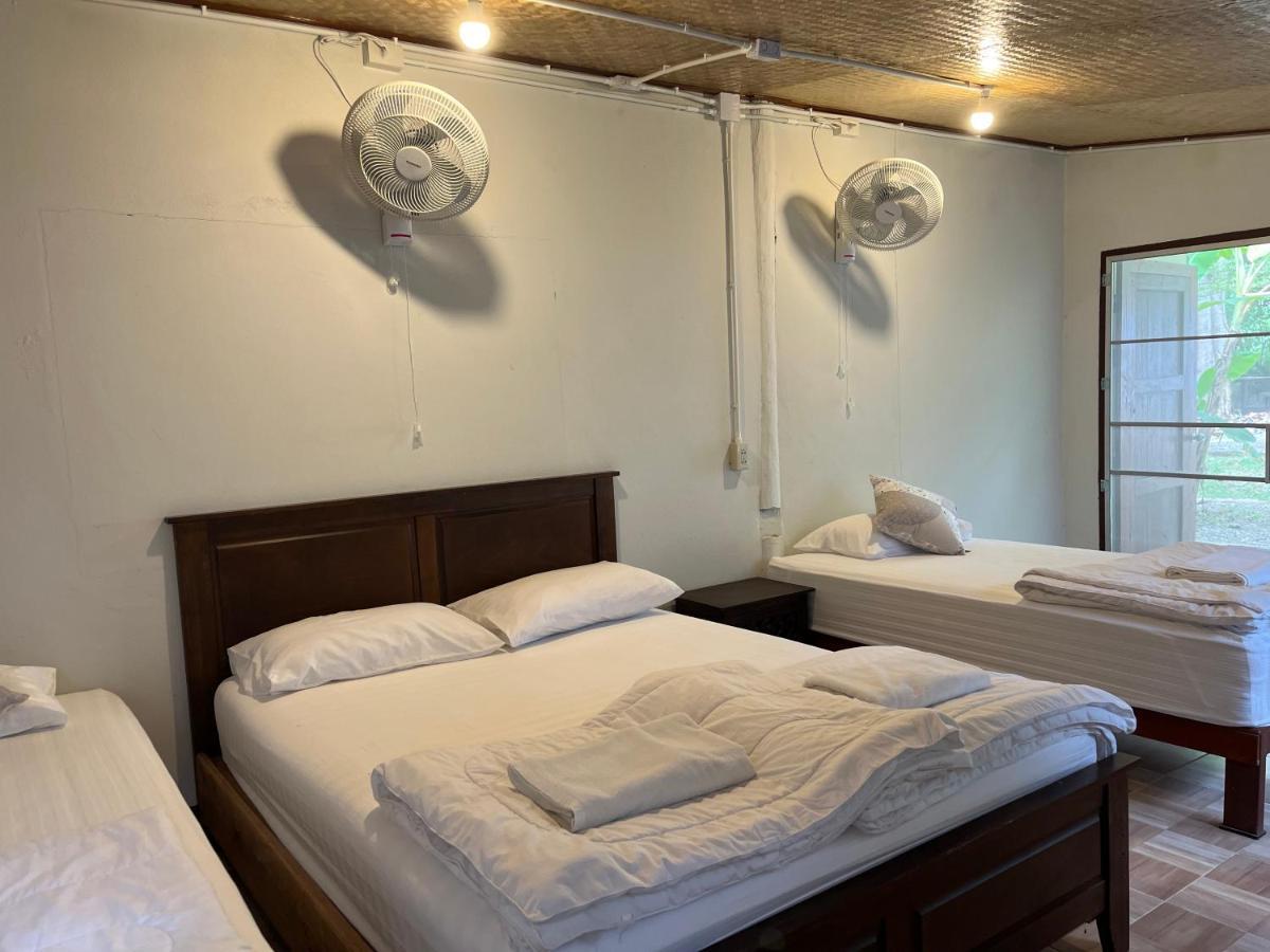 치앙다오 Brown House Chiangdao 호스텔 외부 사진